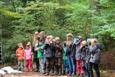 Waldtheater im Naturum Göhrde