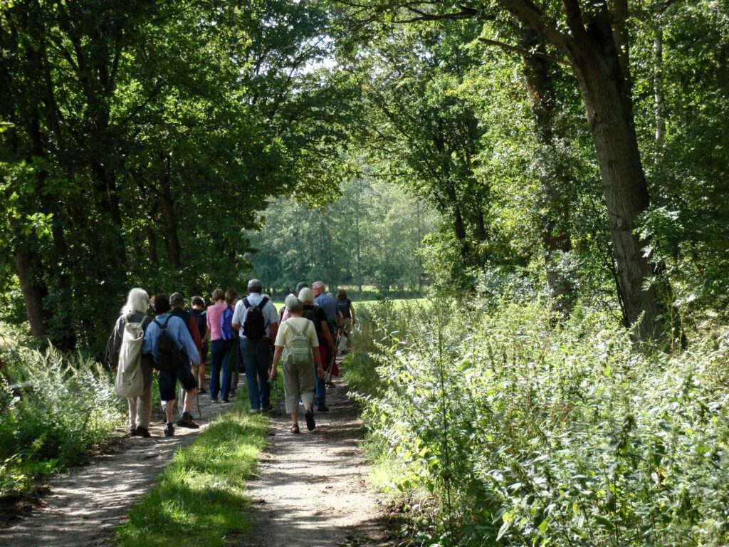 einige Menschen gehen entlang eines Waldweges
