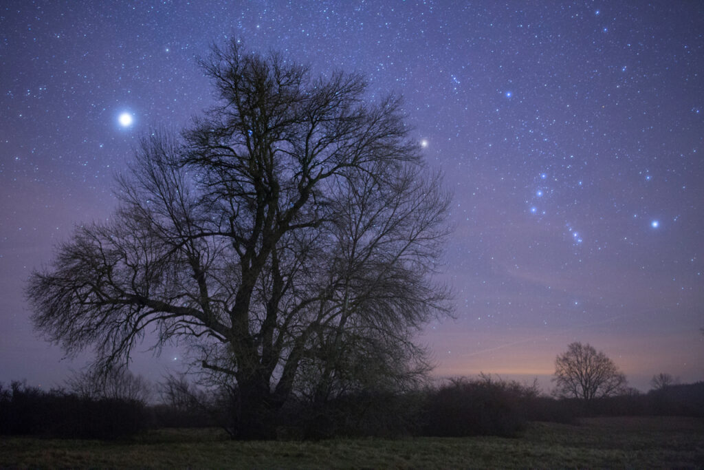 sternenhimmel it Orion