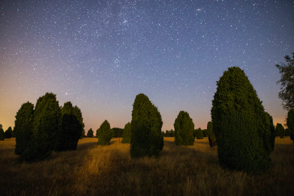 Spätsommerlicher Sternenhimmel mit Wacholderbüschen und Perseus und Andromeda