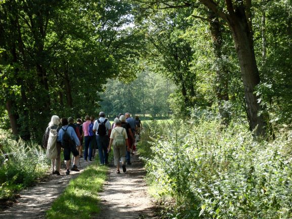 Gruppe von Menschen auf einem Waldweg