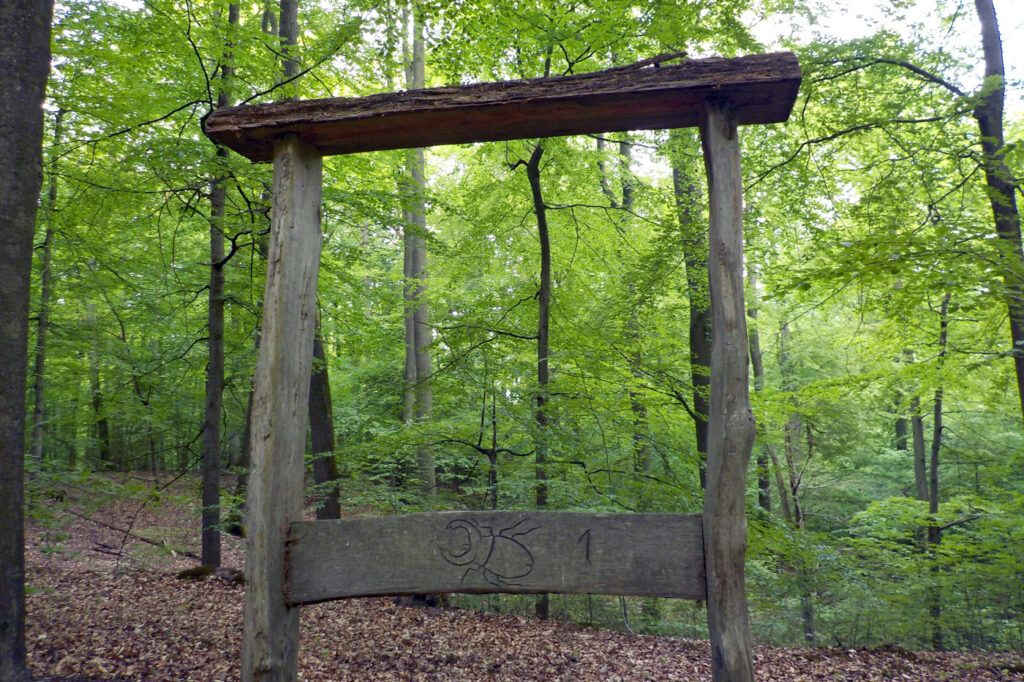 Naturlehrpfad im Naturum Göhrde