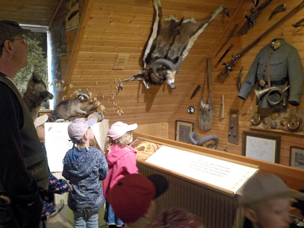 Ausstellung im Wald Museum Naturum Göhrde