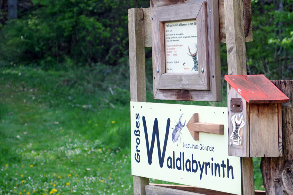 Waldlabyrinth im Naturum Göhrde