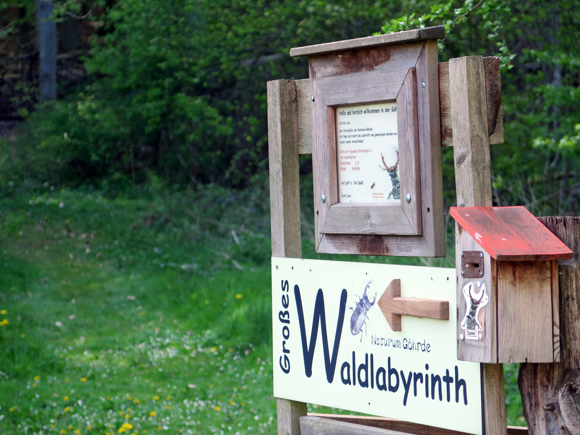 Waldlabyrinth im Naturum Göhrde